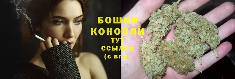 Бошки марихуана White Widow  как найти   Луза 